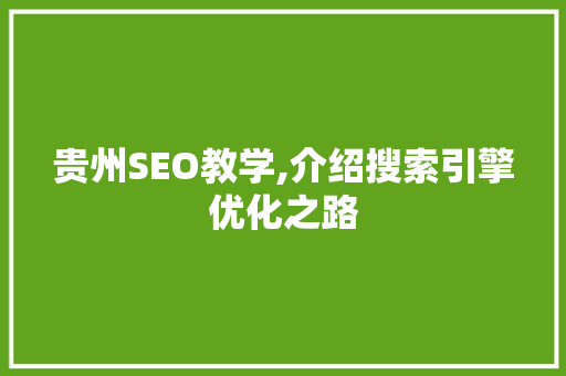 贵州SEO教学,介绍搜索引擎优化之路