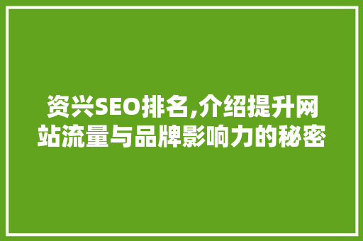 资兴SEO排名,介绍提升网站流量与品牌影响力的秘密武器