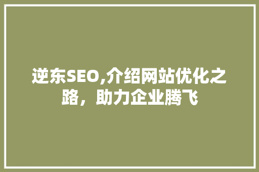 逆东SEO,介绍网站优化之路，助力企业腾飞