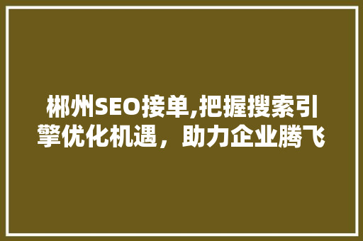 郴州SEO接单,把握搜索引擎优化机遇，助力企业腾飞