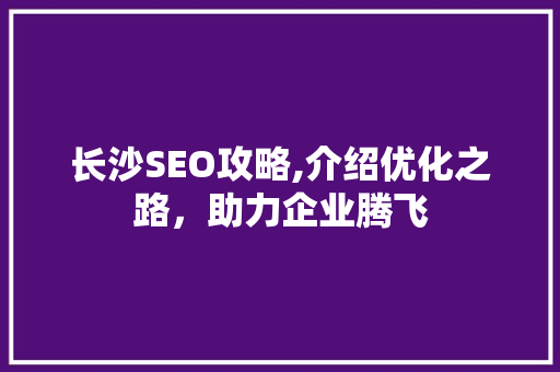 长沙SEO攻略,介绍优化之路，助力企业腾飞