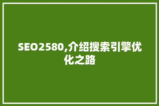 SEO2580,介绍搜索引擎优化之路