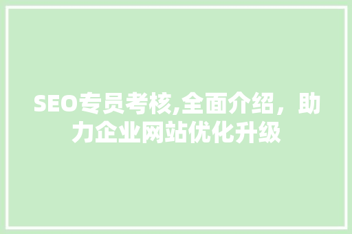 SEO专员考核,全面介绍，助力企业网站优化升级