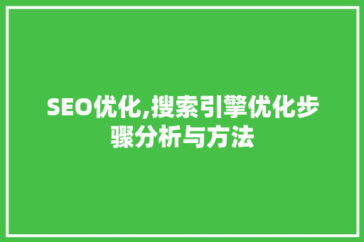 SEO优化,搜索引擎优化步骤分析与方法