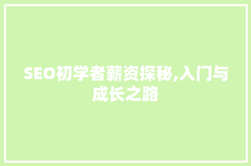 SEO初学者薪资探秘,入门与成长之路