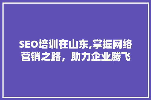 SEO培训在山东,掌握网络营销之路，助力企业腾飞