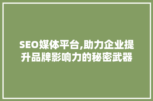SEO媒体平台,助力企业提升品牌影响力的秘密武器