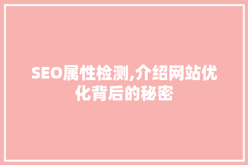 SEO属性检测,介绍网站优化背后的秘密