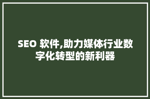 SEO 软件,助力媒体行业数字化转型的新利器