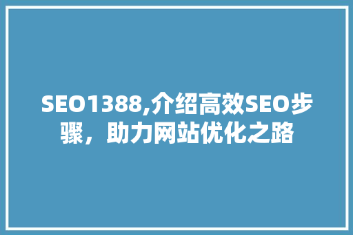 SEO1388,介绍高效SEO步骤，助力网站优化之路