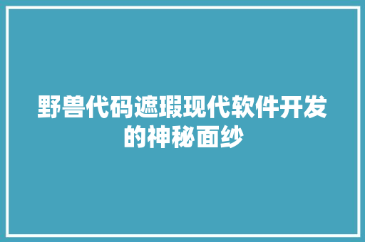 野兽代码遮瑕现代软件开发的神秘面纱