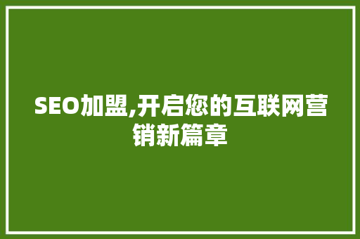 SEO加盟,开启您的互联网营销新篇章