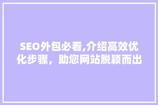 SEO外包必看,介绍高效优化步骤，助您网站脱颖而出