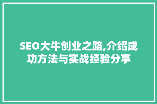 SEO大牛创业之路,介绍成功方法与实战经验分享