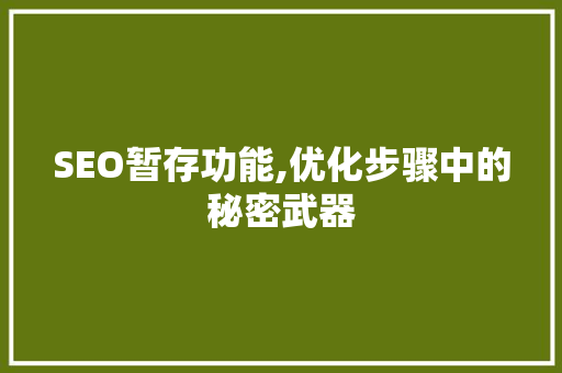 SEO暂存功能,优化步骤中的秘密武器