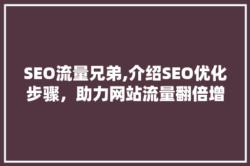 SEO流量兄弟,介绍SEO优化步骤，助力网站流量翻倍增长