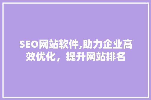 SEO网站软件,助力企业高效优化，提升网站排名