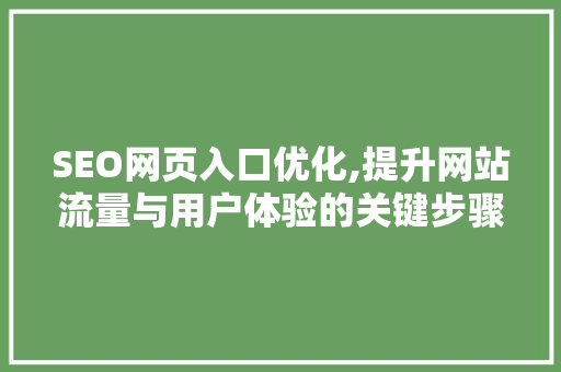 SEO网页入口优化,提升网站流量与用户体验的关键步骤