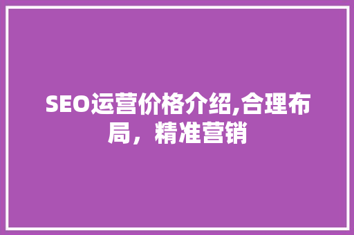 SEO运营价格介绍,合理布局，精准营销