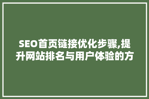SEO首页链接优化步骤,提升网站排名与用户体验的方法