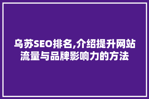 乌苏SEO排名,介绍提升网站流量与品牌影响力的方法