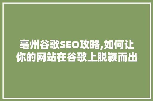 亳州谷歌SEO攻略,如何让你的网站在谷歌上脱颖而出