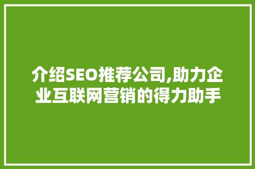 介绍SEO推荐公司,助力企业互联网营销的得力助手