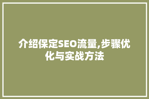 介绍保定SEO流量,步骤优化与实战方法