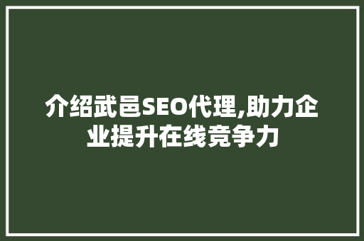 介绍武邑SEO代理,助力企业提升在线竞争力