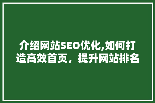介绍网站SEO优化,如何打造高效首页，提升网站排名  第1张