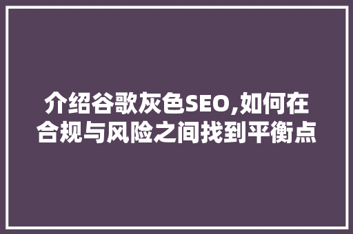 介绍谷歌灰色SEO,如何在合规与风险之间找到平衡点