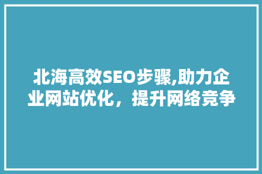 北海高效SEO步骤,助力企业网站优化，提升网络竞争力
