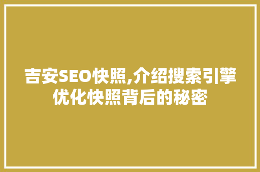 吉安SEO快照,介绍搜索引擎优化快照背后的秘密