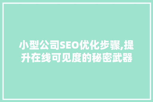 小型公司SEO优化步骤,提升在线可见度的秘密武器  第1张