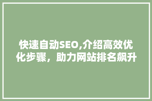 快速自动SEO,介绍高效优化步骤，助力网站排名飙升