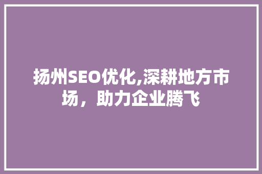 扬州SEO优化,深耕地方市场，助力企业腾飞