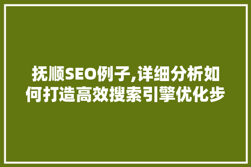 抚顺SEO例子,详细分析如何打造高效搜索引擎优化步骤