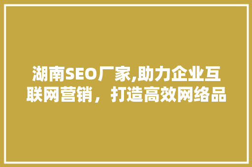 湖南SEO厂家,助力企业互联网营销，打造高效网络品牌形象
