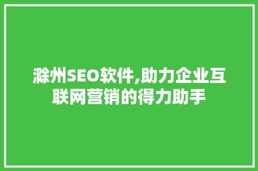 滁州SEO软件,助力企业互联网营销的得力助手
