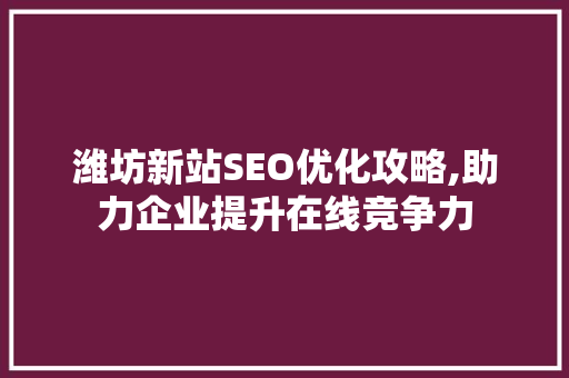 潍坊新站SEO优化攻略,助力企业提升在线竞争力