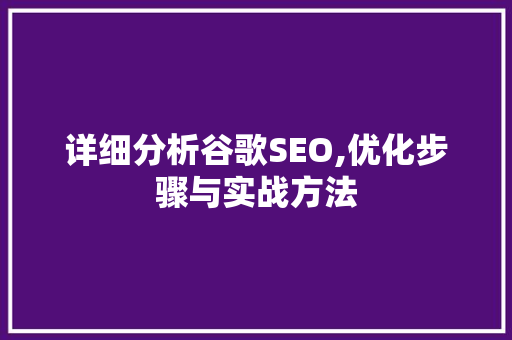 详细分析谷歌SEO,优化步骤与实战方法