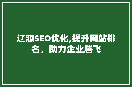 辽源SEO优化,提升网站排名，助力企业腾飞
