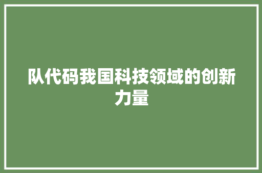 队代码我国科技领域的创新力量