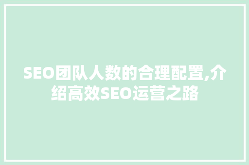 SEO团队人数的合理配置,介绍高效SEO运营之路