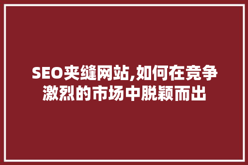 SEO夹缝网站,如何在竞争激烈的市场中脱颖而出  第1张