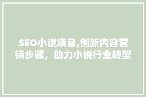 SEO小说项目,创新内容营销步骤，助力小说行业转型升级