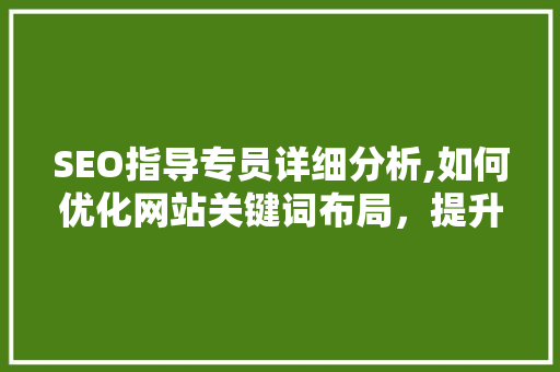 SEO指导专员详细分析,如何优化网站关键词布局，提升搜索引擎排名