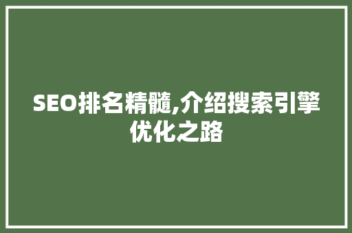 SEO排名精髓,介绍搜索引擎优化之路
