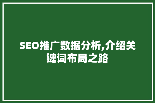 SEO推广数据分析,介绍关键词布局之路