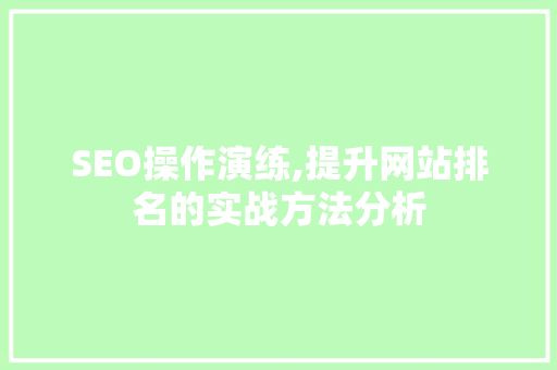 SEO操作演练,提升网站排名的实战方法分析